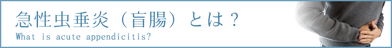 急性虫垂炎（盲腸）とは？