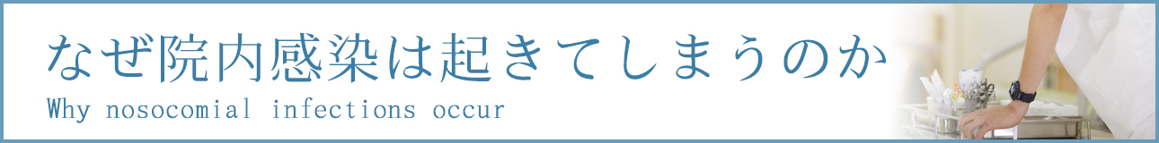 ʤⴶϵƤޤΤ