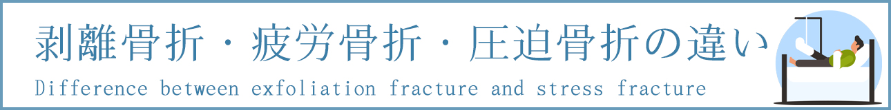 剥離骨折・疲労骨折・圧迫骨折の違い