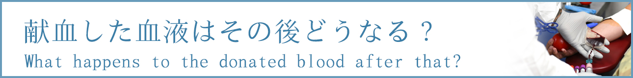 献血した血液はその後どうなる？