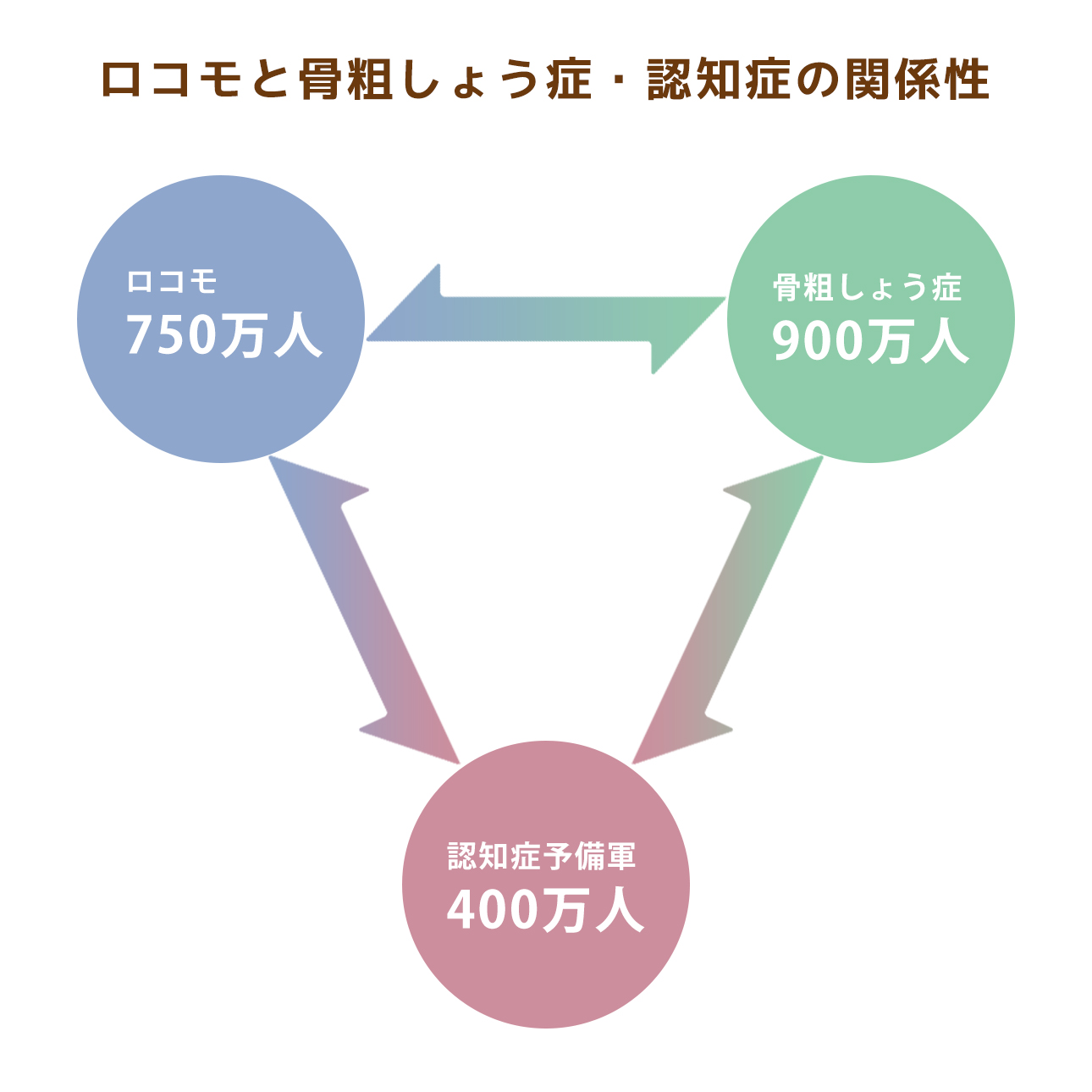 ロコモと骨粗しょう症と認知症の関係